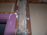 termite damage behind wall